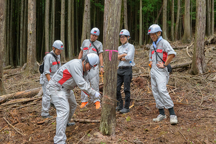 アクティオの森2025