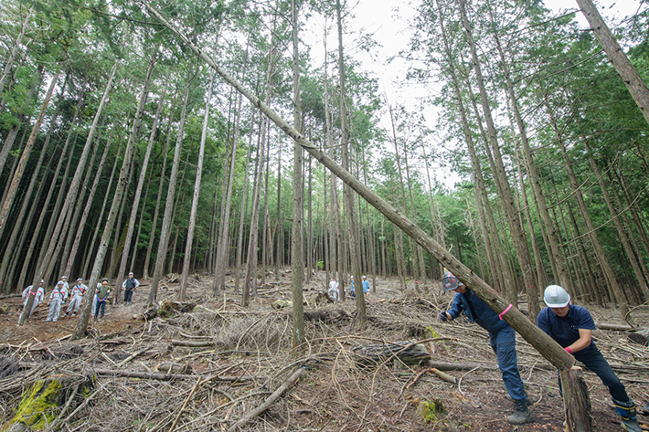 アクティオの森2025