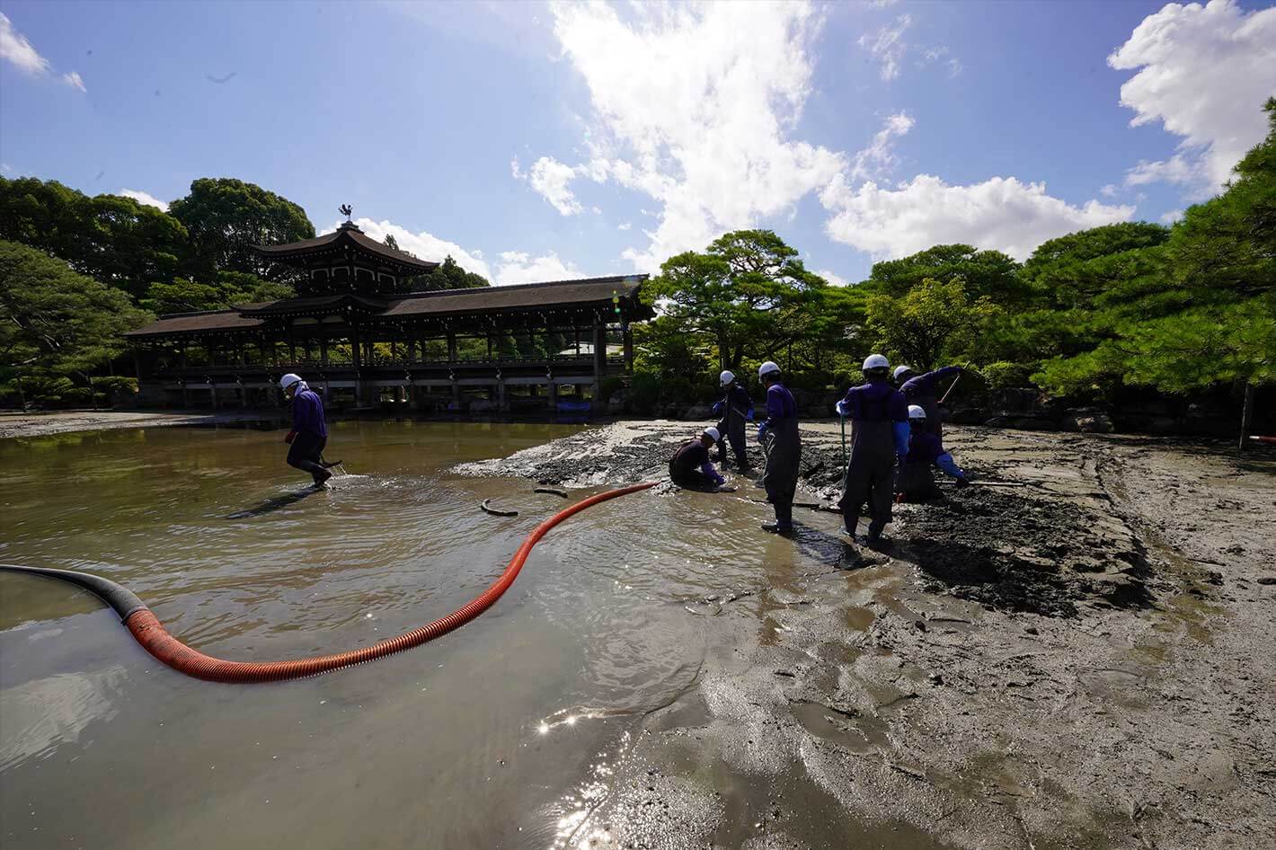 池の水位を下げ、ヘドロを人海戦術で吸引した