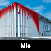 Mie